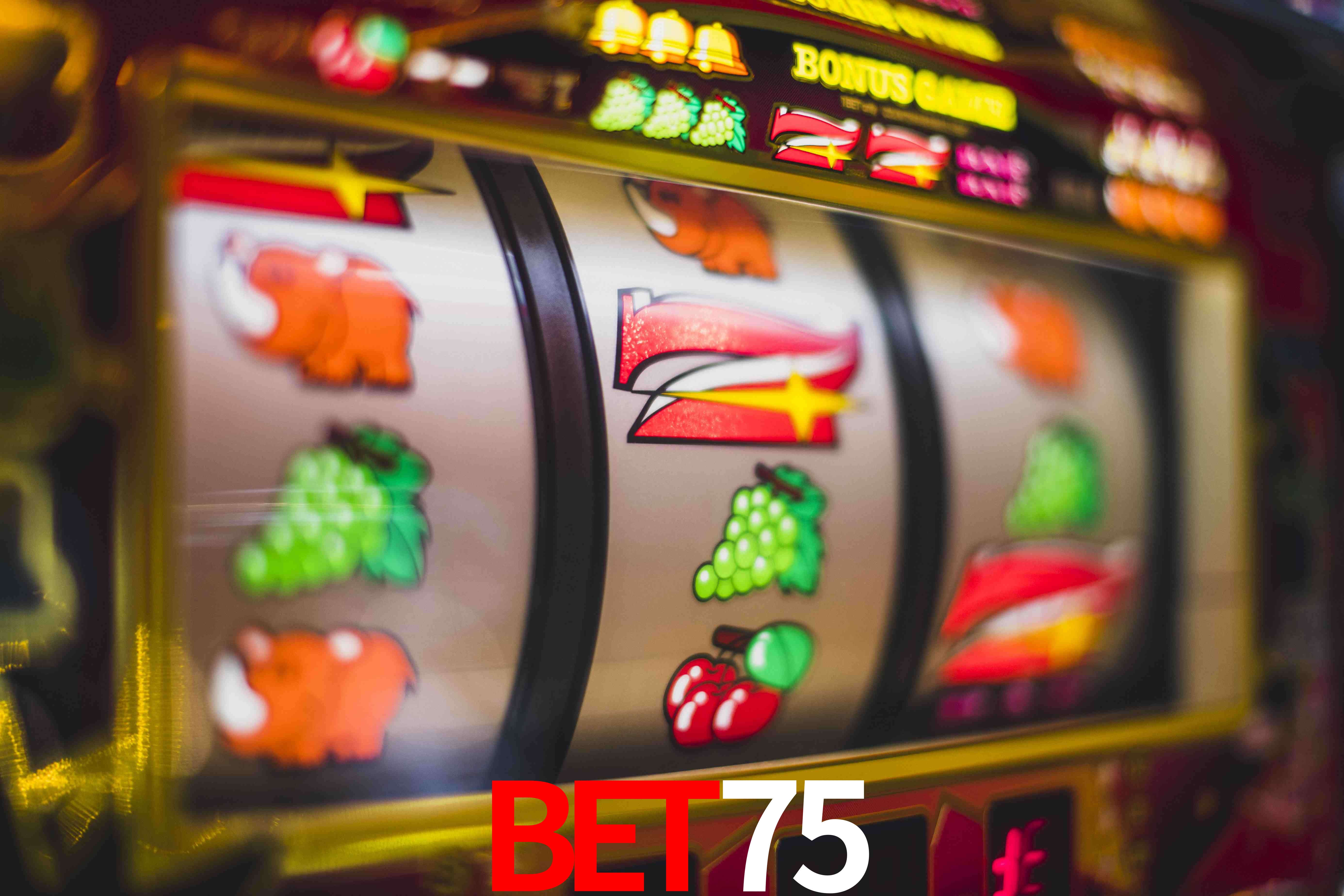 Live Casino bet75